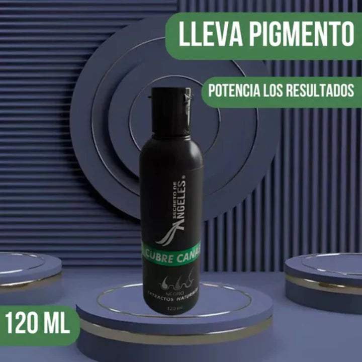 Shampoo Angeles Cubrecanas 🖤🧔🏻♀️