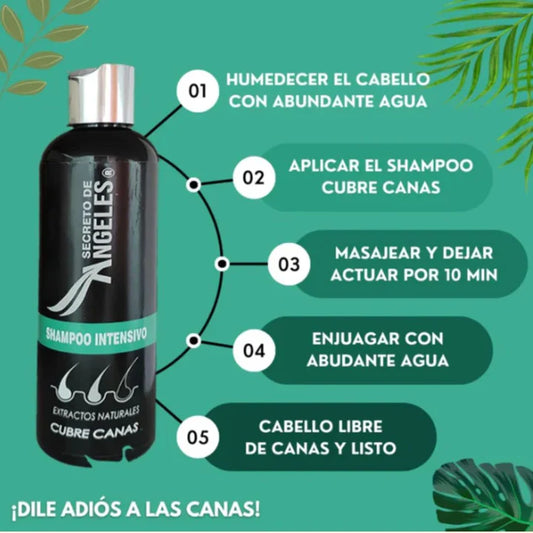 Shampoo Angeles Cubrecanas 🖤🧔🏻‍♀️